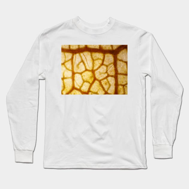 Red autumn maple leaf under the microscope Long Sleeve T-Shirt by SDym Photography